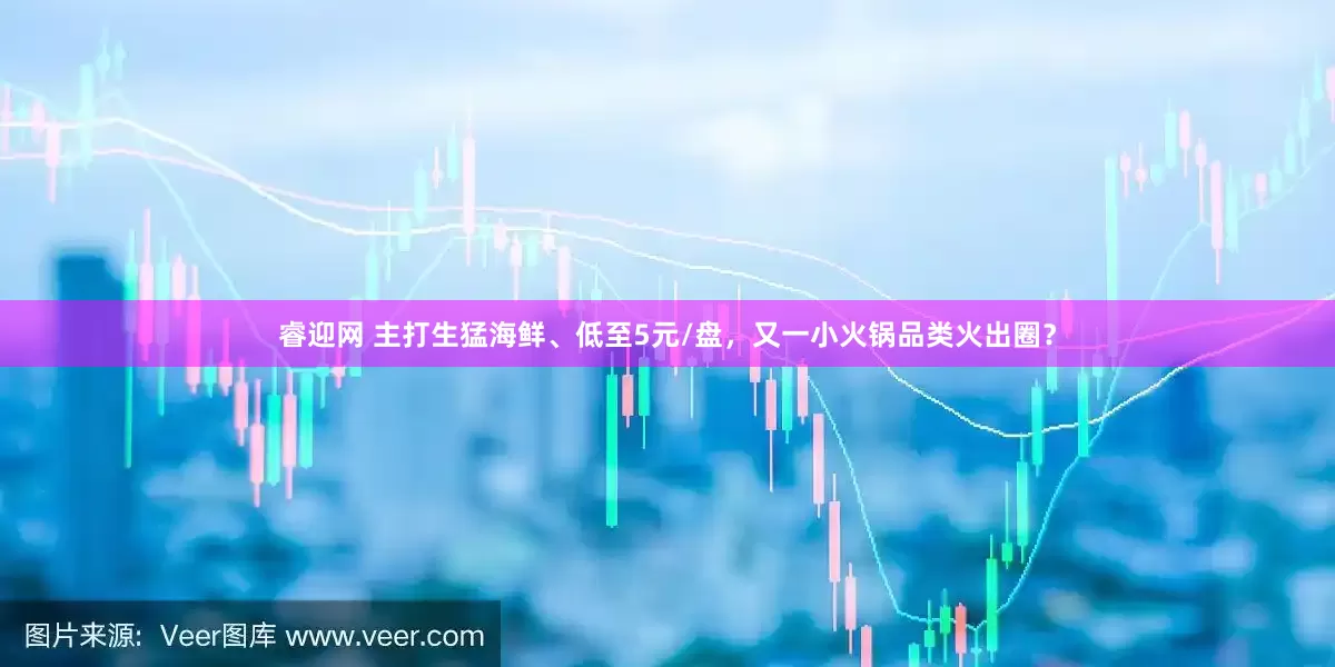 睿迎网 主打生猛海鲜、低至5元/盘，又一小火锅品类火出圈？