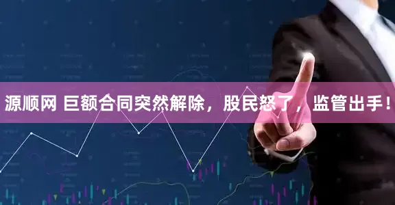 源顺网 巨额合同突然解除，股民怒了，监管出手！